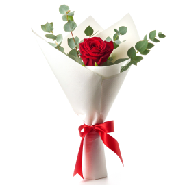 Scarlet Rose Elegance