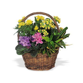 Bountiful Garden Sympathy Basket