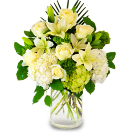 Elegant Blooms and Greenery