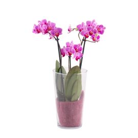 Threes Company Bouquet