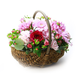 Japón Regalos para Estudiantes en el Extranjero