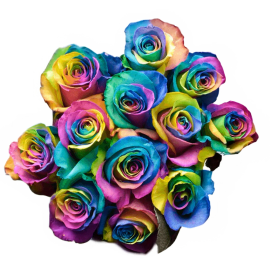 Kaleidoscope Rose Bouquet