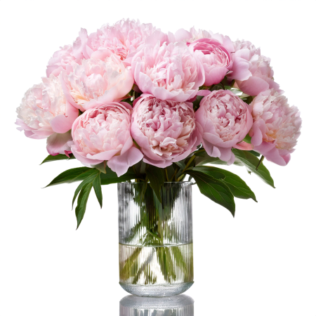 Ramo de peonías rosas ruborizadas