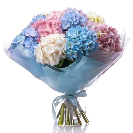 Ramo de hortensias pastel