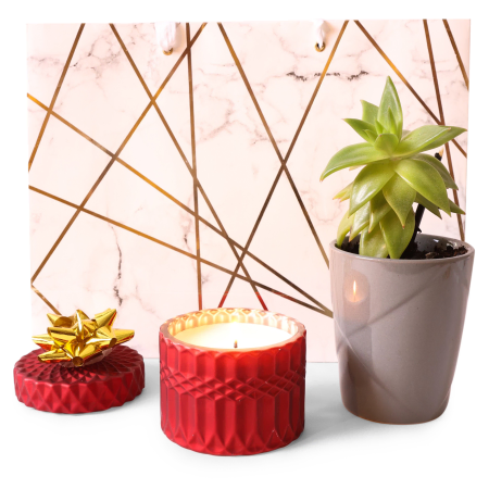 Set de regalo con vela y suculentas Peaceful