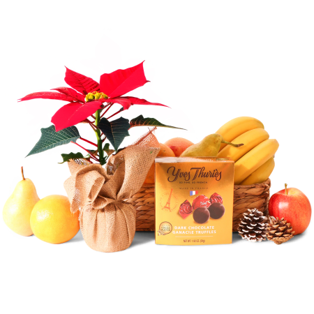 Fruity Poinsettia y Chocolates
