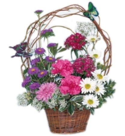 Garden Oasis cesta de la flor