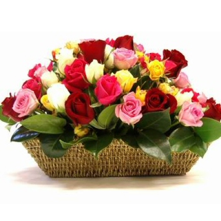 Un jardín en París