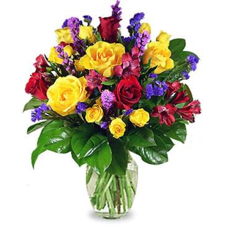 Diversión en el ramo de sol