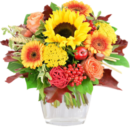 Celebración del Girasol Dorado