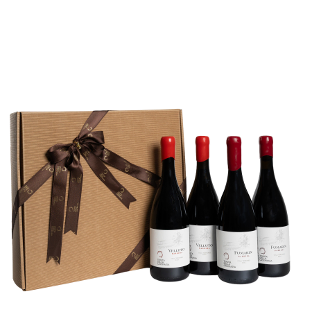 Colección para amantes del vino italiano
