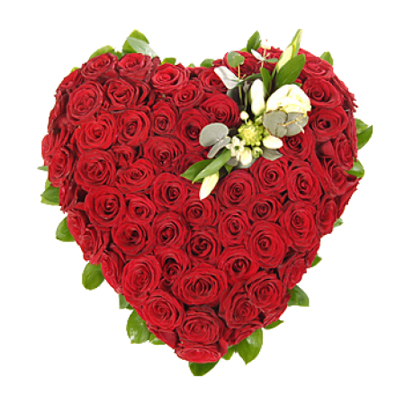 Comparta su corazón