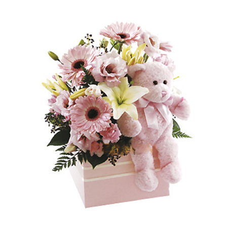 Oleadas de nubes con el oso