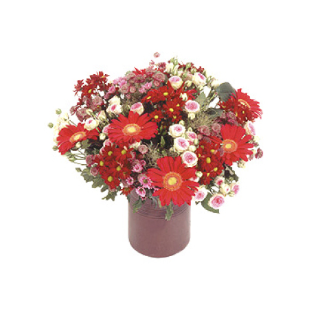 Fireworks capturadas