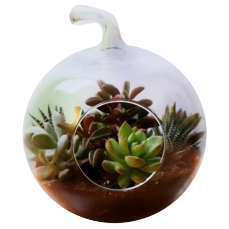 Terrario Oasis del Desierto