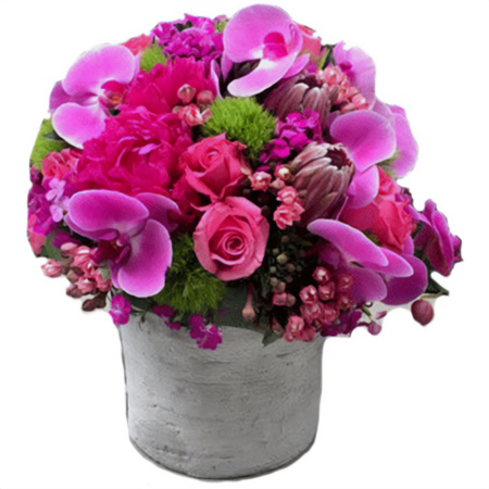 Jardín Encantado y Jarrón de Cerámica